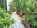 Lush garden pathway with various plants and potted greenery
