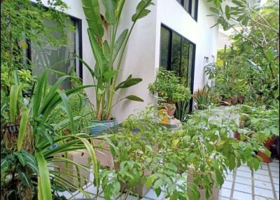 Side view of a modern building with lush garden area