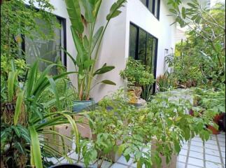 Side view of a modern building with lush garden area