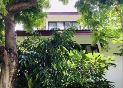 Exterior view of house with lush greenery