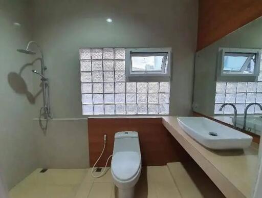 Modern bathroom with shower and sink