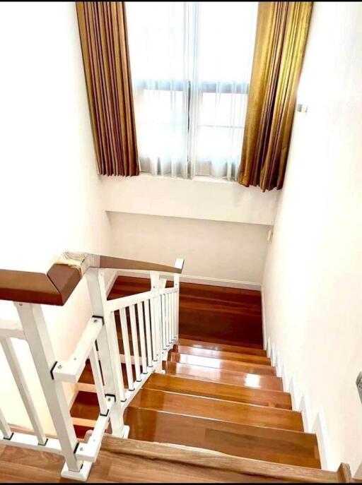 staircase with sunlight coming through window