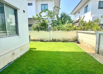 View of a green backyard with neighboring houses