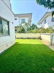 View of a green backyard with neighboring houses