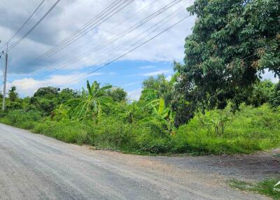 ที่ดินพร้อมสำหรับการพัฒนาในสารภี