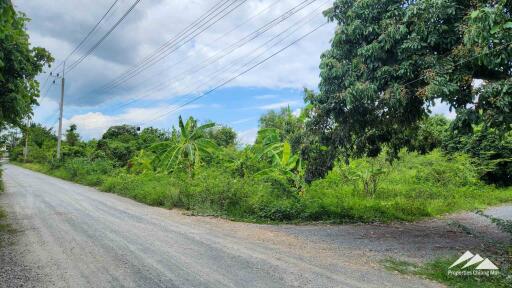 ที่ดินพร้อมสำหรับการพัฒนาในสารภี