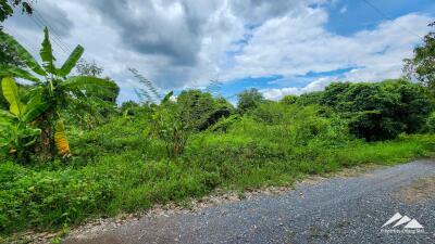 Land Ready For Development In Saraphi