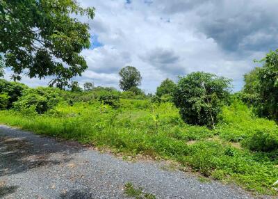 Land Ready For Development In Saraphi