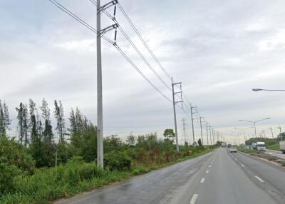 View of a road with power lines and greenery