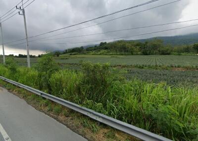 View of greenery and farmland from roadside