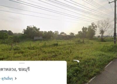 Countryside road and grassy field