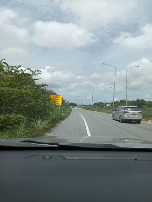 Road with cars and greenery