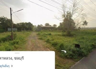 Empty land with a nearby road, grass, and power lines