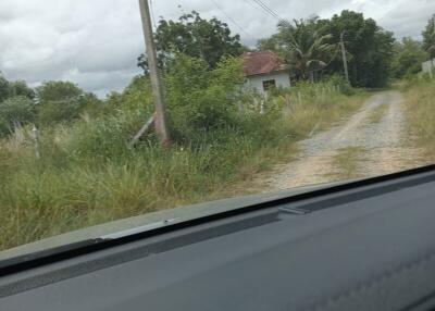 Overgrown driveway leading to a rural house