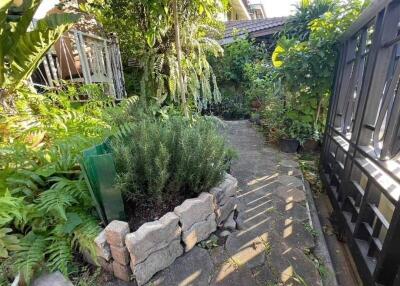 Lush garden area with plants and paved walkway