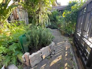 Lush garden area with plants and paved walkway