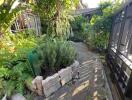 Lush garden area with plants and paved walkway