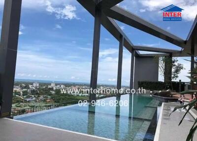 Rooftop infinity pool with city and ocean view