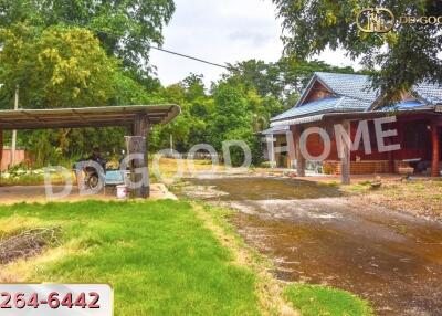 Outdoor view of a property with carport and garden