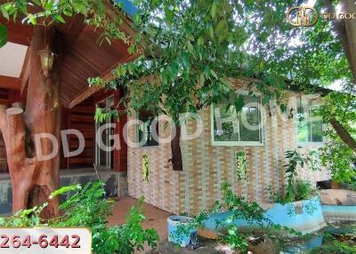 Exterior view of a house surrounded by greenery