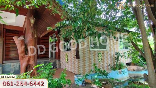 Exterior view of a house surrounded by greenery