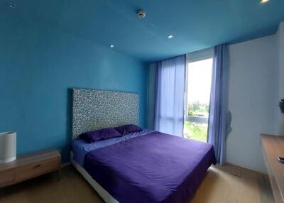 Modern bedroom with blue walls and purple bedding