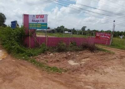Land for sale with signage