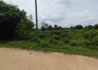 View of outdoor area with greenery