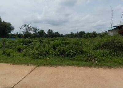 Vacant land with greenery