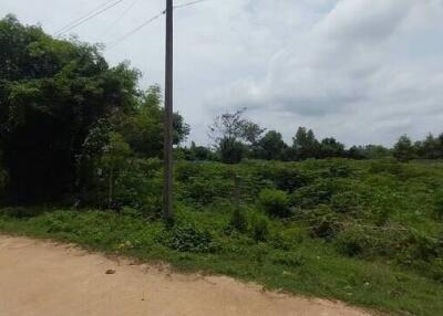 Image of a large plot of land with greenery