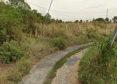 Gravel pathway through a grassy field