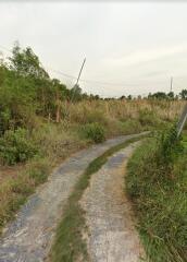 Gravel pathway through a grassy field