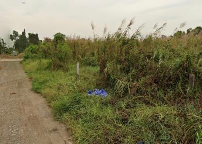 Outdoor undeveloped land with weeds