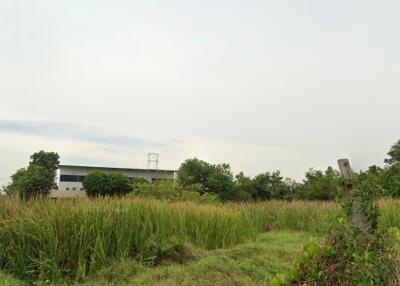 open land with greenery and distant building