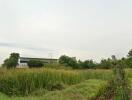 open land with greenery and distant building