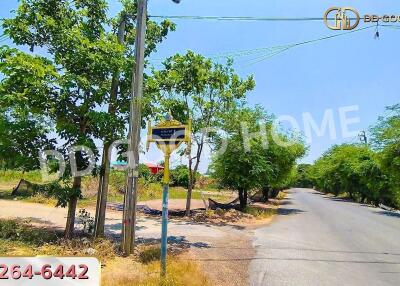 Countryside road with trees and power lines