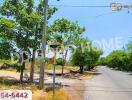 Countryside road with trees and power lines