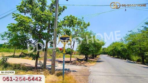 Countryside road with trees and power lines