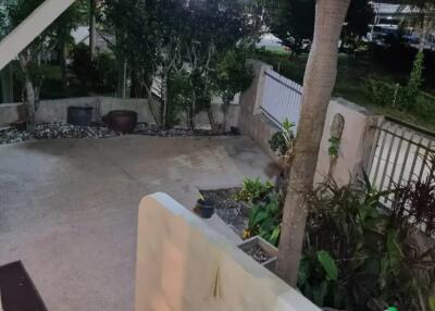 Nighttime view of an outdoor area with plants, pavement, and steps