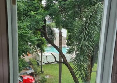 View through a window showing trees, a red car, and a pool