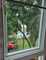 View through a window showing trees, a red car, and a pool