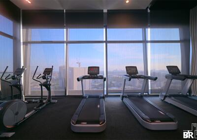 Modern gym with city view