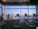 Modern gym with city view