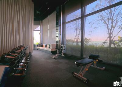 Well-equipped gym with modern exercise machines and large windows