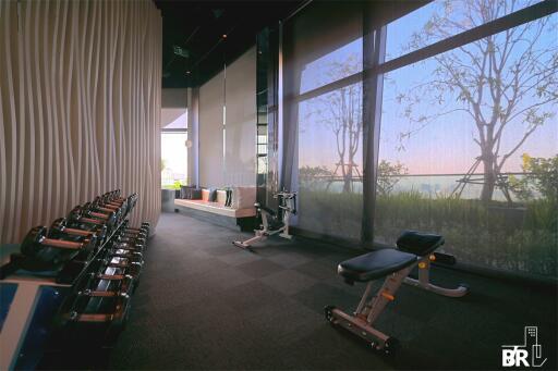 Well-equipped gym with modern exercise machines and large windows
