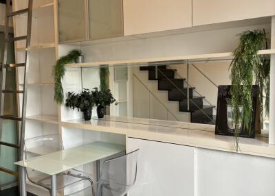 Modern kitchen with glass table, clear chairs, white cabinet, and indoor plants