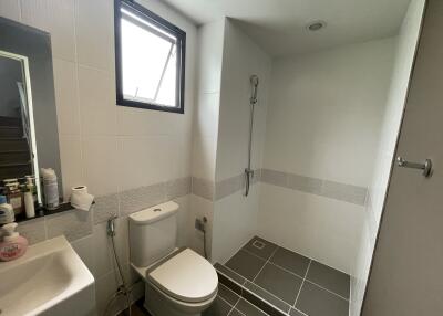 Modern bathroom with tiled shower area and toilet