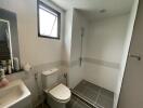 Modern bathroom with tiled shower area and toilet