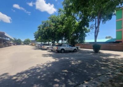 Parking space with trees and greenery