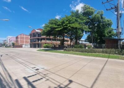 Street view of neighborhood with buildings and greenery